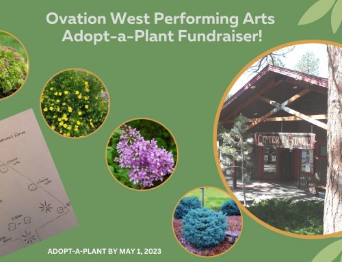 Adopt-A-Plant and help beautify Center Stage